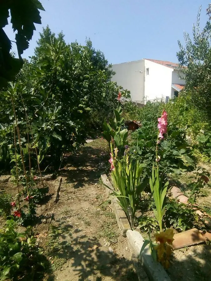 Apartment Dupline Σπλιτ Κροατία